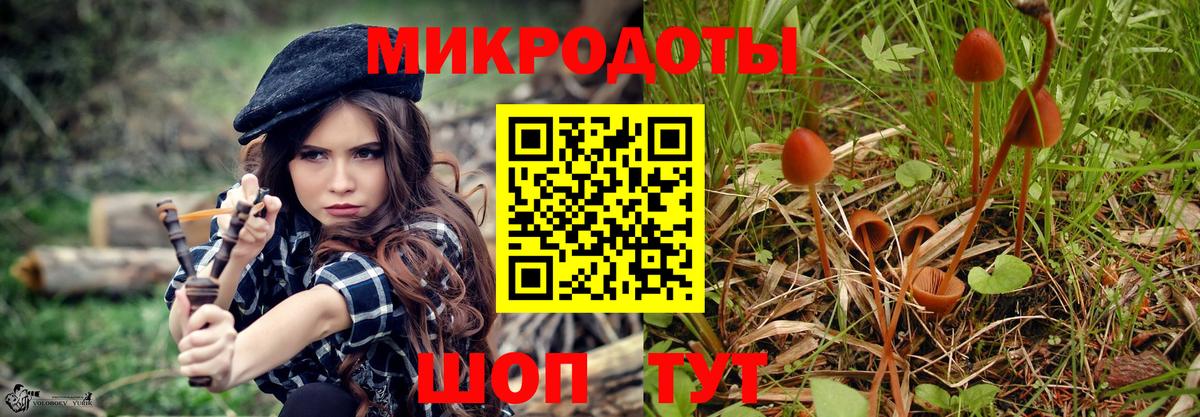 Видное  закладка  Вход с VPN  Галлюциногенные грибы прущие грибы 